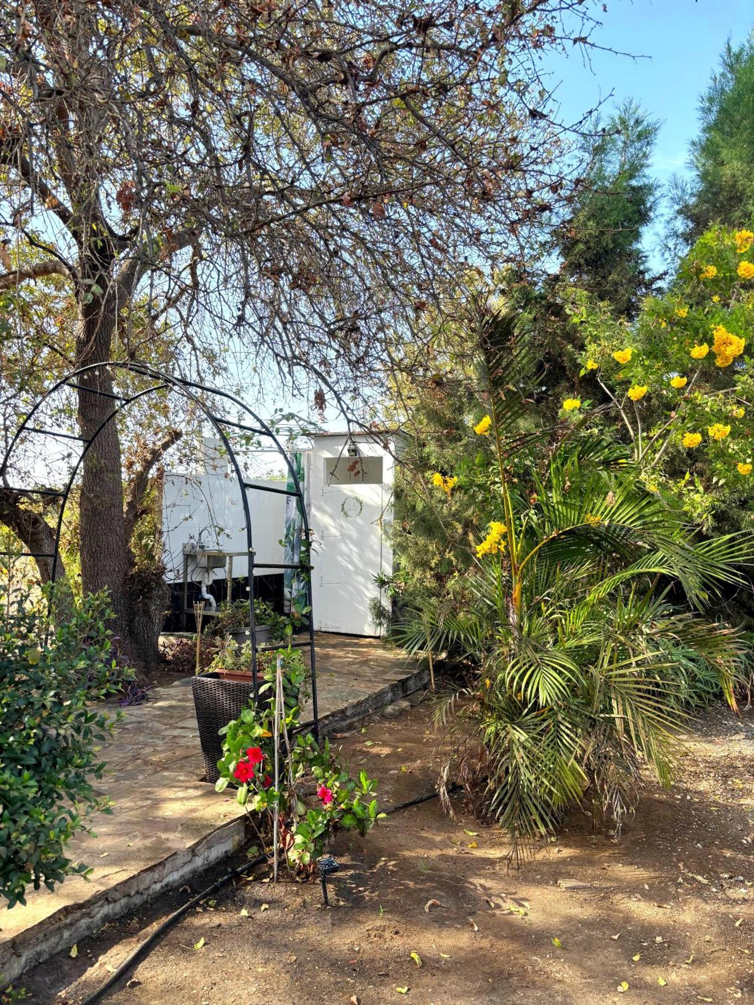 - Magic Bus - Hotel Klorakas Bagian luar foto